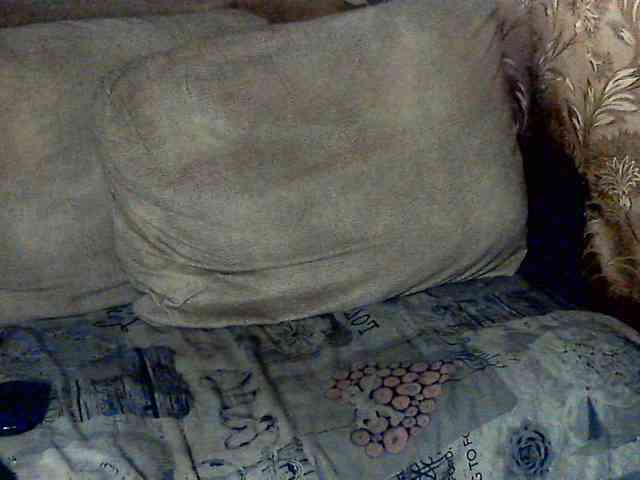 CuteGloria webcam