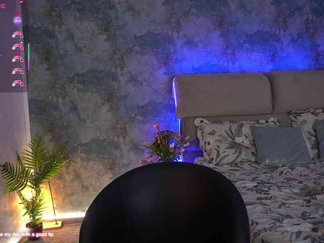 Magneticcc webcam