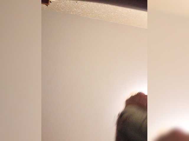 Flirt-Red live cam on BongaCams