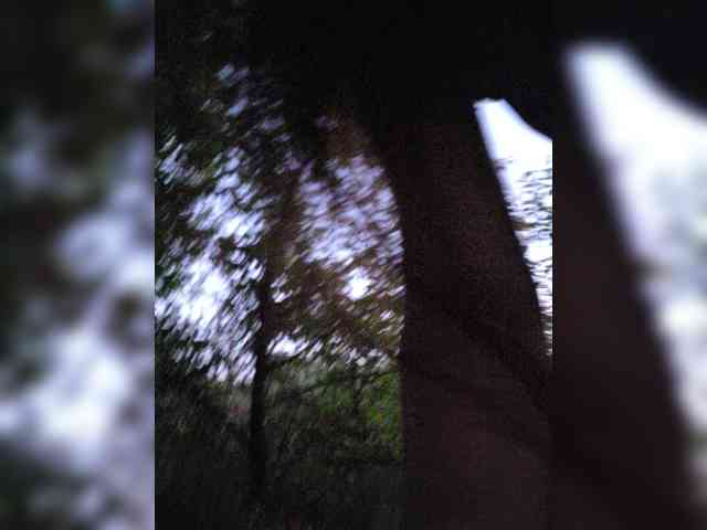 Flirt_Red webcam