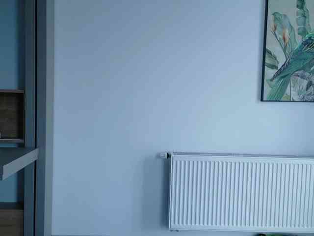 Deidi_sweet webcam