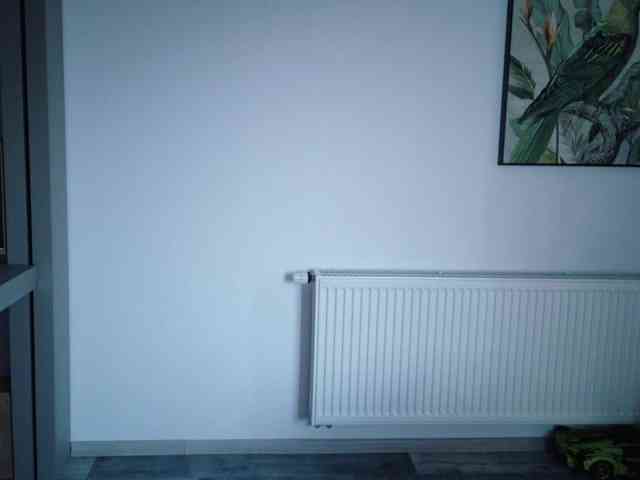 Deidi_sweet webcam