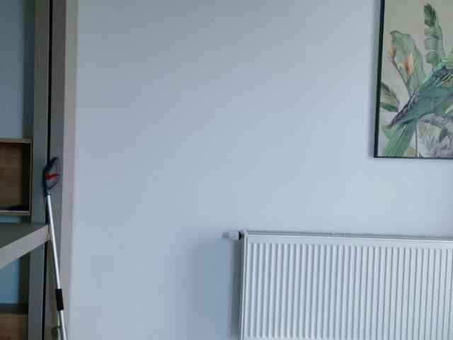 Deidi_sweet webcam