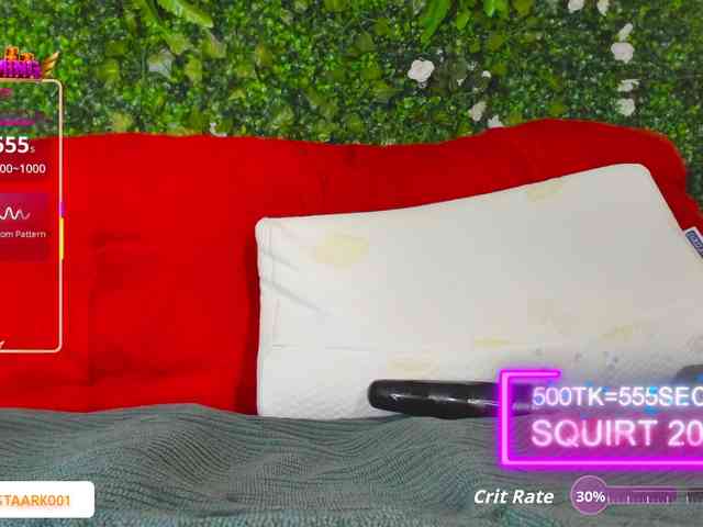 SansaStaark webcam