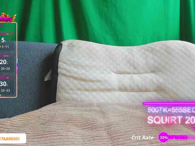 SansaStaark webcam