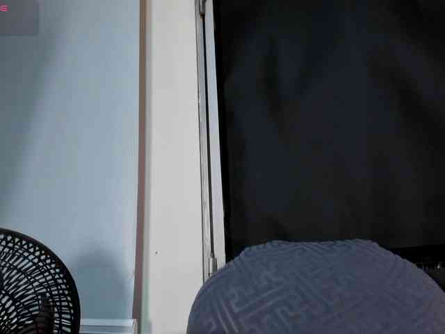 VeronicaLanz webcam