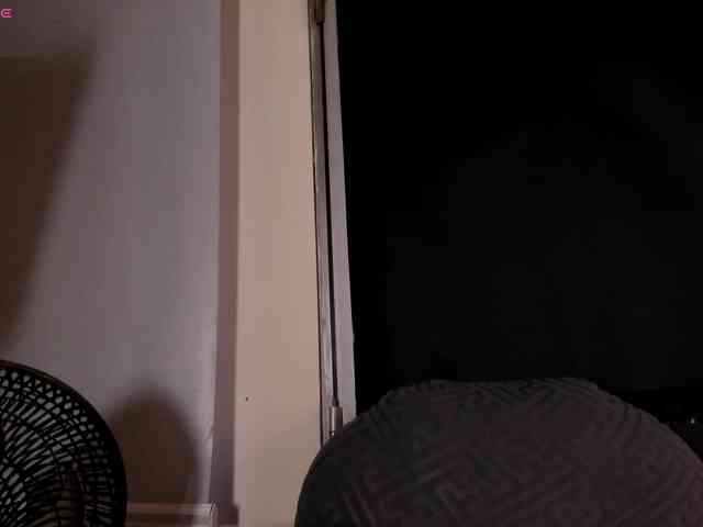 VeronicaLanz webcam