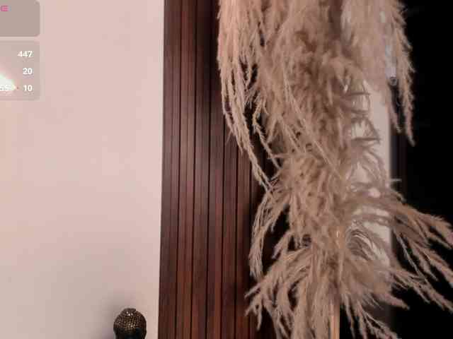 VeronicaLanz webcam
