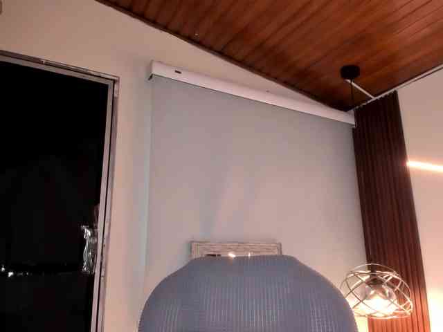 VeronicaLanz webcam