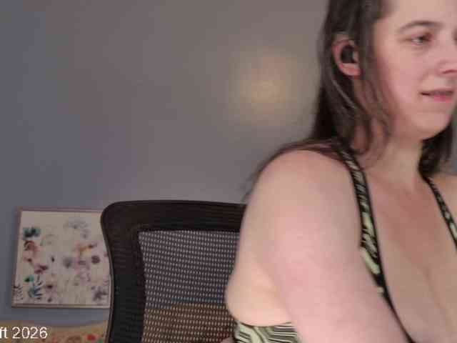leiaswift webcam