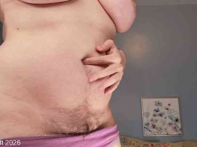leiaswift webcam