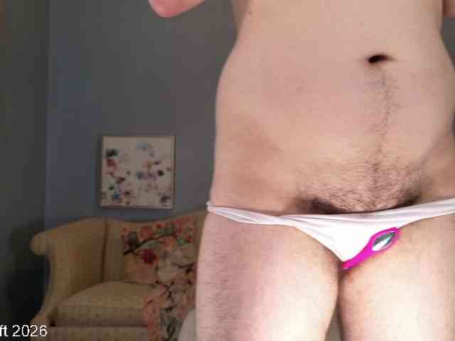 leiaswift webcam