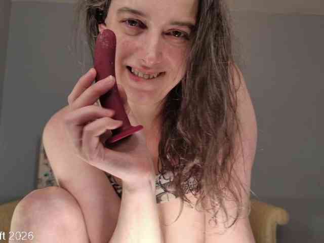 leiaswift webcam