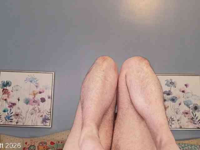 leiaswift webcam