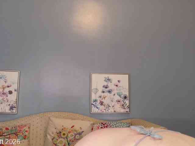 leiaswift webcam
