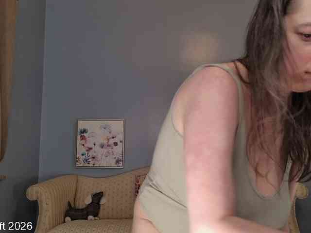 leiaswift webcam