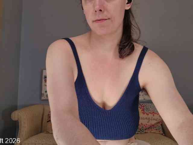 leiaswift webcam