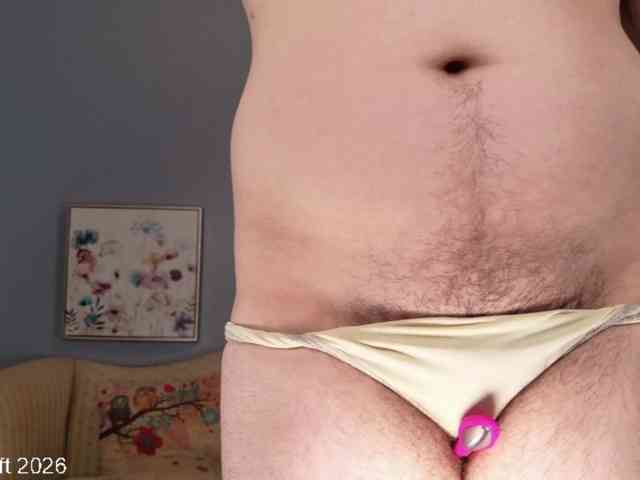 leiaswift webcam