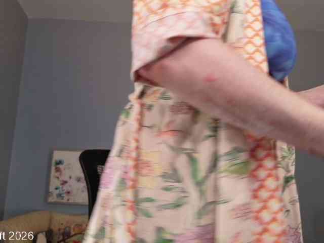 leiaswift webcam