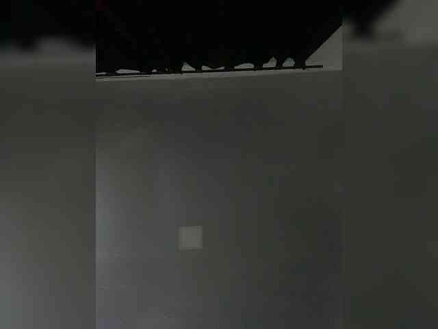 Allie-Rose webcam