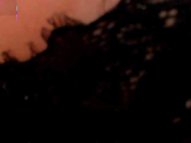 DannieSmith1