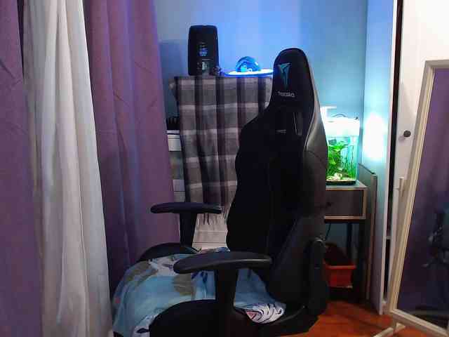 lady_inari webcam