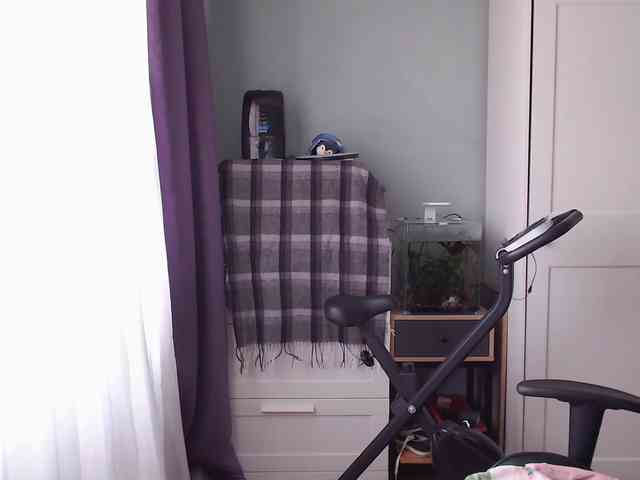lady_inari webcam