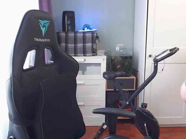 lady_inari webcam