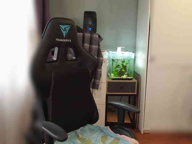 lady_inari webcam