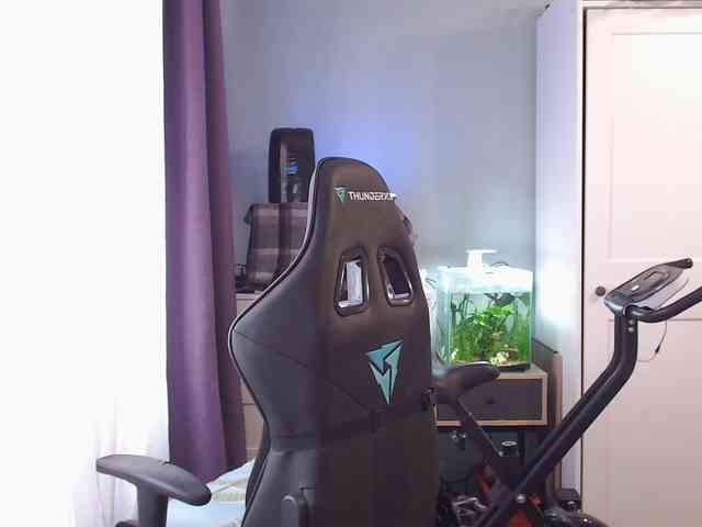 lady_inari webcam