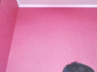 TorryJ Porn Show