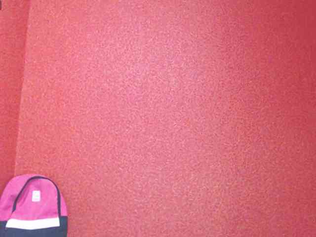 TorryJ webcam