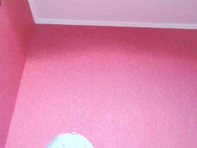 TorryJ webcam