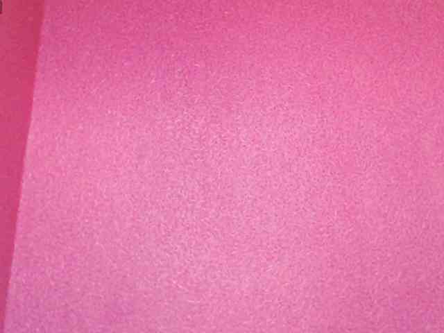 TorryJ webcam