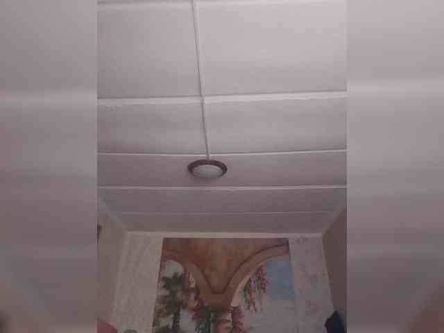 TorryJ webcam