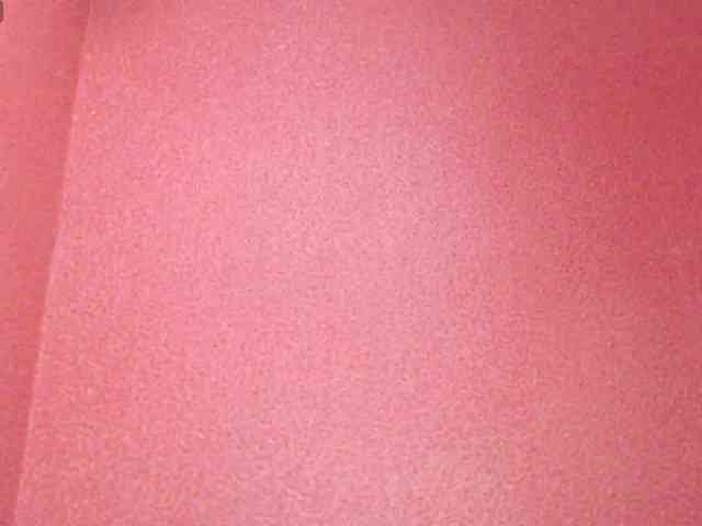 TorryJ webcam