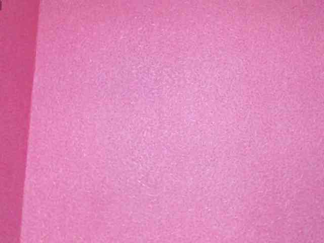 TorryJ webcam