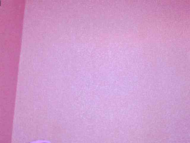 TorryJ webcam