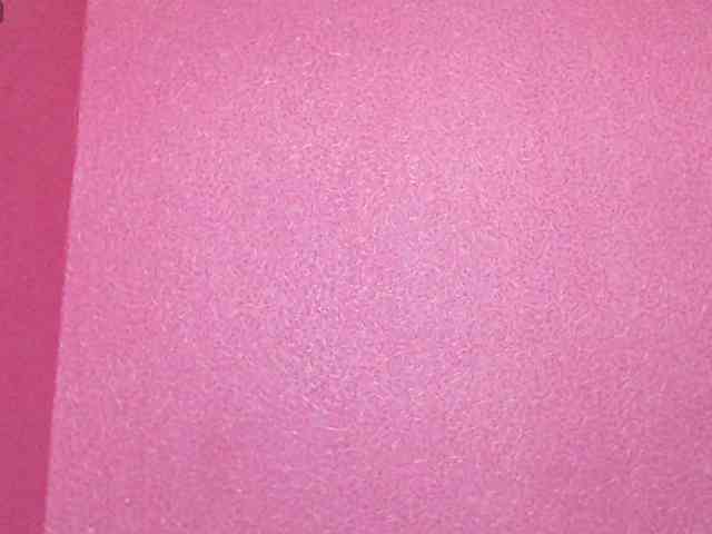 TorryJ webcam