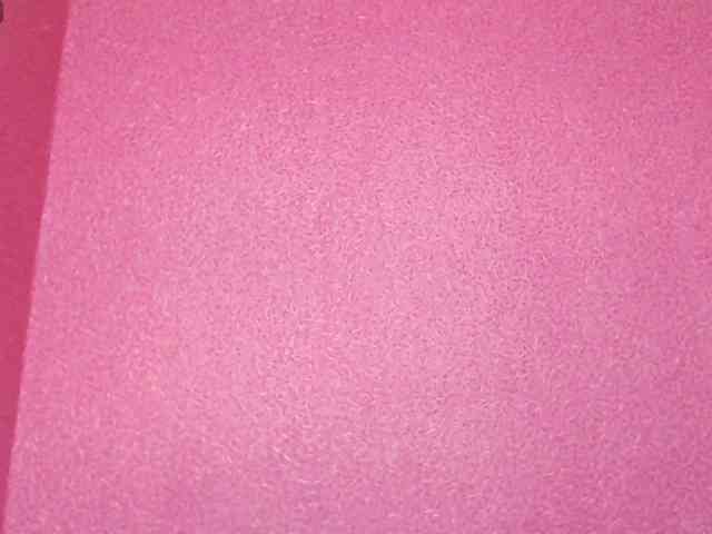 TorryJ webcam