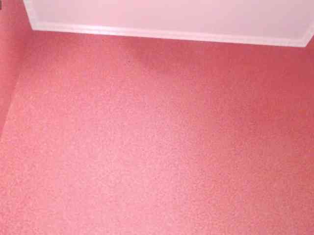TorryJ webcam