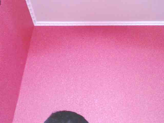 TorryJ webcam