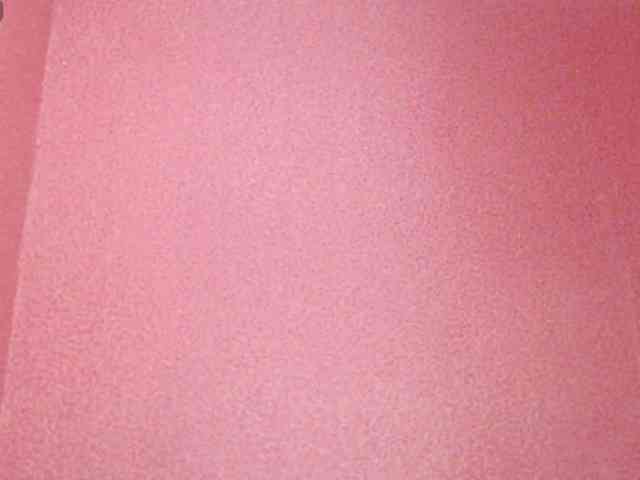 TorryJ webcam