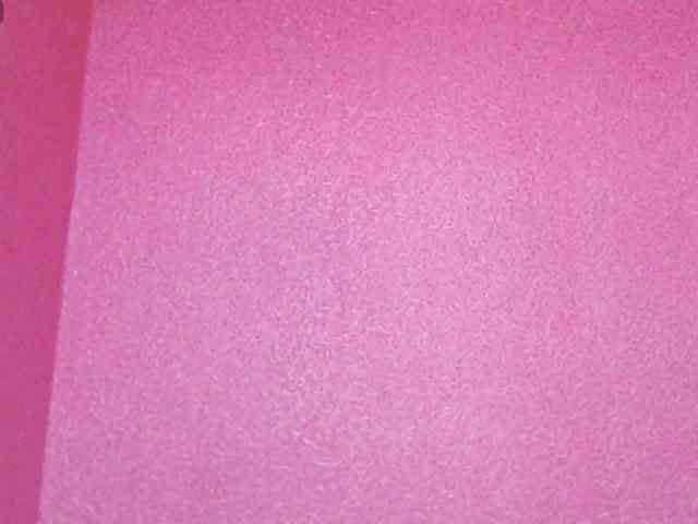 TorryJ webcam