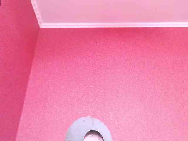 TorryJ webcam