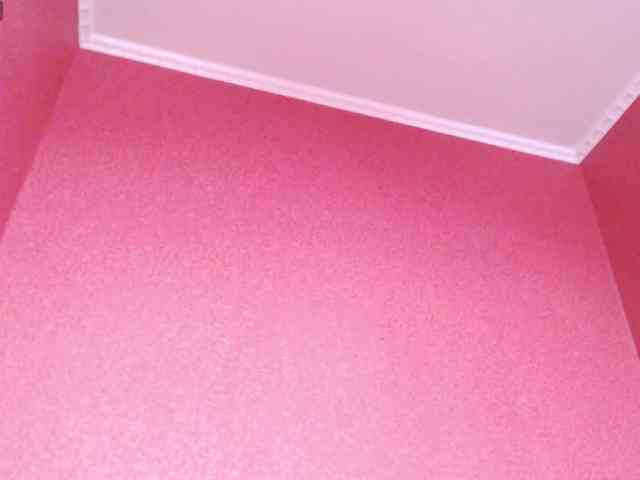 TorryJ webcam