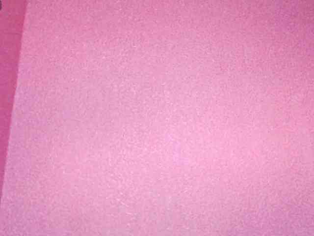 TorryJ webcam