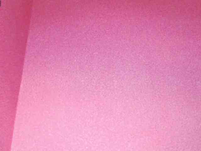 TorryJ webcam