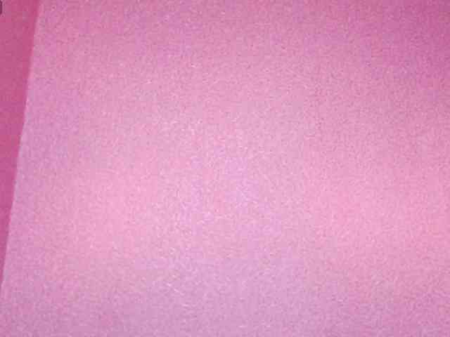 TorryJ webcam