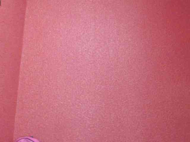 TorryJ webcam
